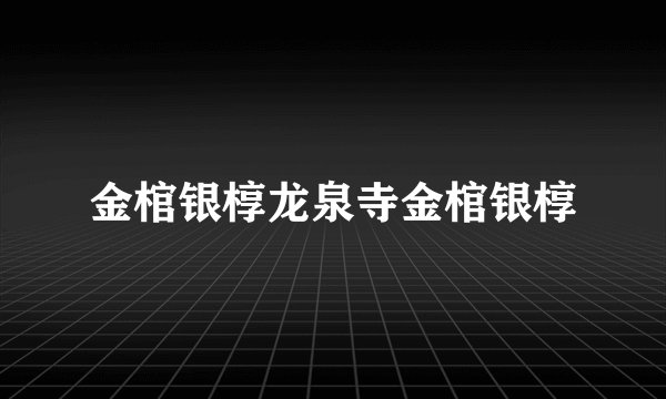 金棺银椁龙泉寺金棺银椁