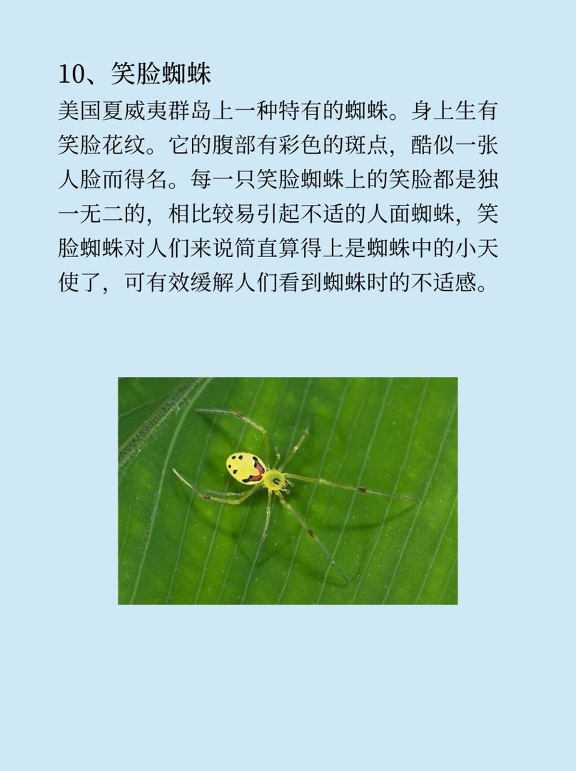 有什么稀奇古怪的东西