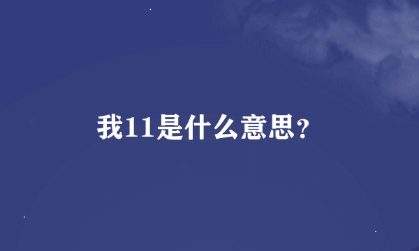 我11是什么意思？