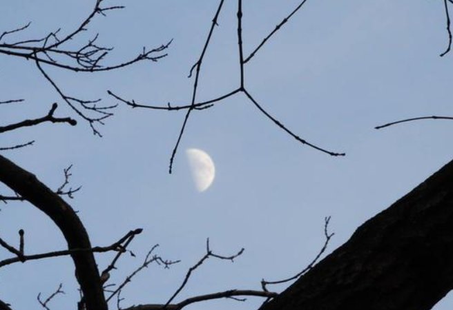 残月下章台打一字