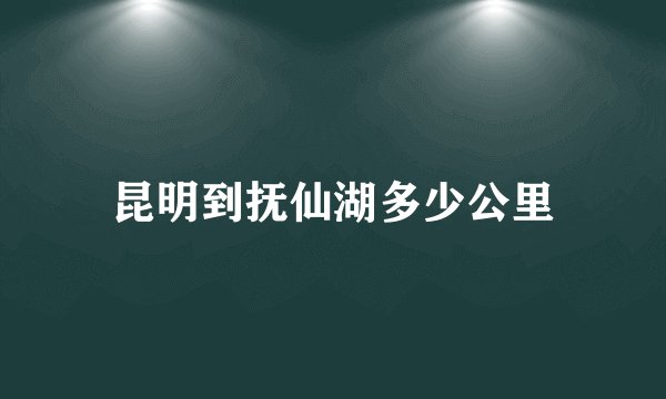 昆明到抚仙湖多少公里
