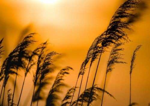 凡事考虑周全的句子