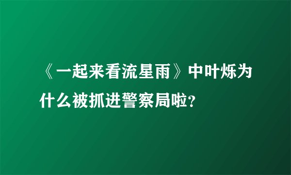 《一起来看流星雨》中叶烁为什么被抓进警察局啦？
