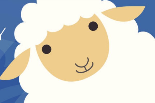 1991年腊月属羊是什么命