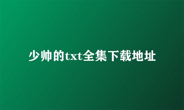 少帅的txt全集下载地址