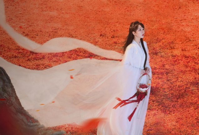 长相思在哪里播出