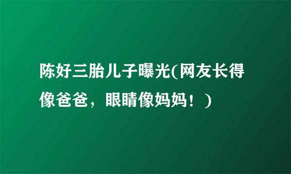陈好三胎儿子曝光(网友长得像爸爸，眼睛像妈妈！)