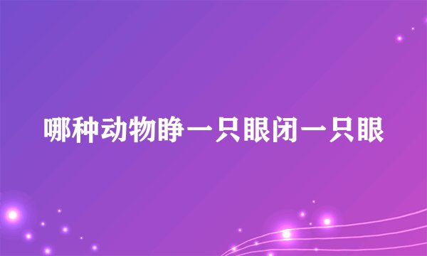 哪种动物睁一只眼闭一只眼