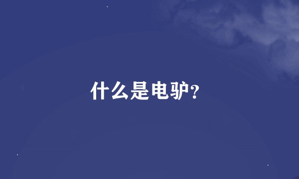 什么是电驴？