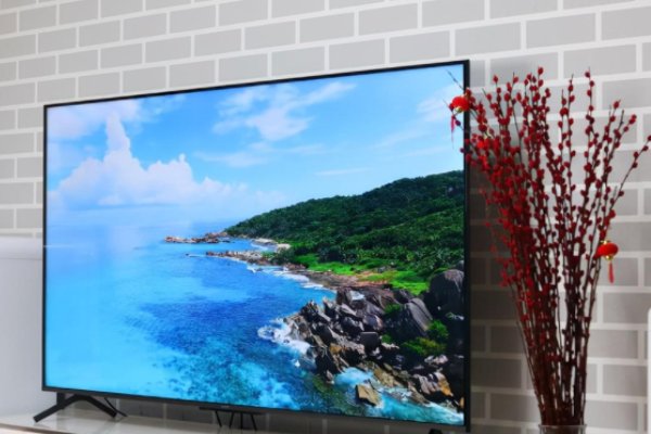 怎么看网络电视直播？