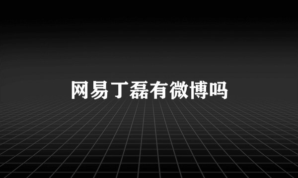 网易丁磊有微博吗