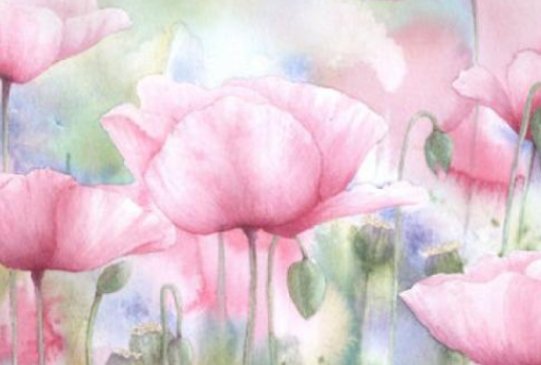 赵西音周启深结局