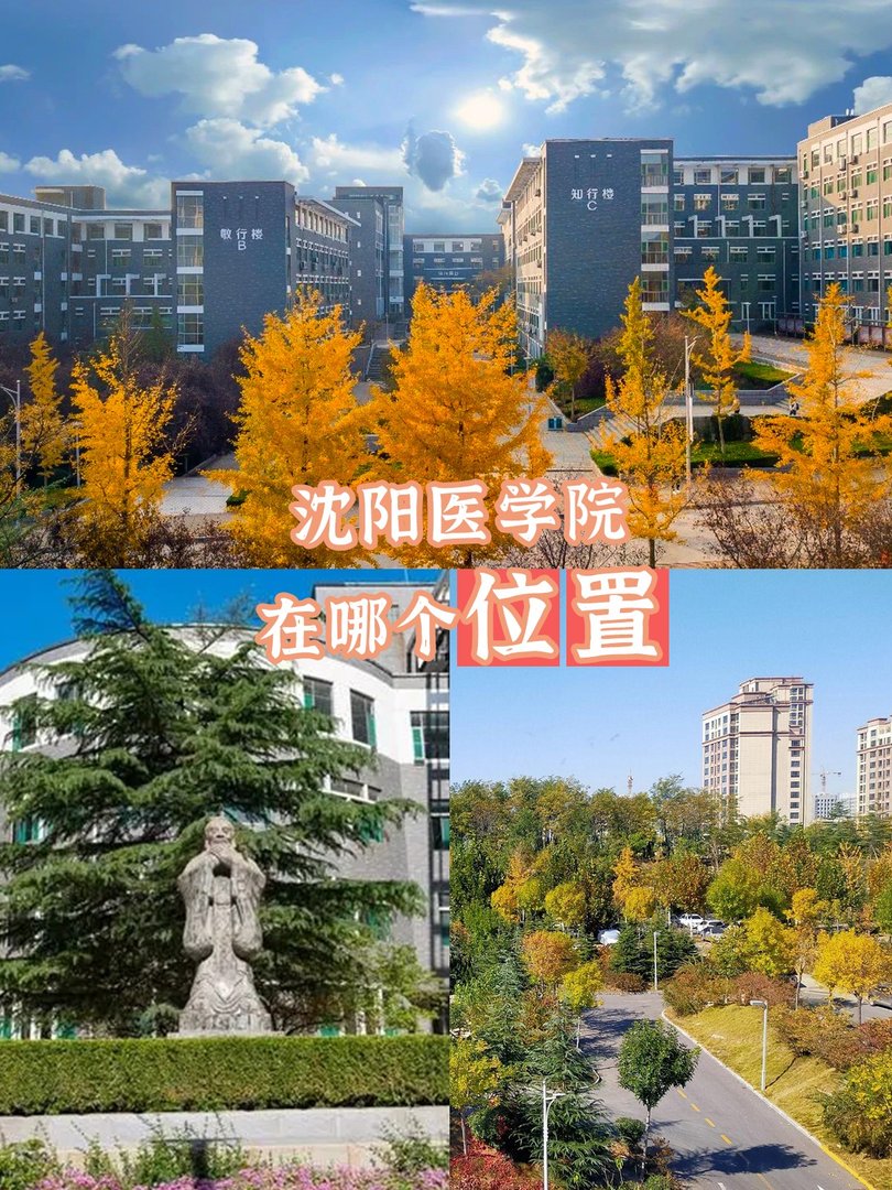 沈阳医学院怎样？