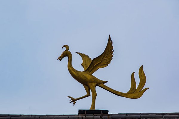 世界上真有凤凰吗？