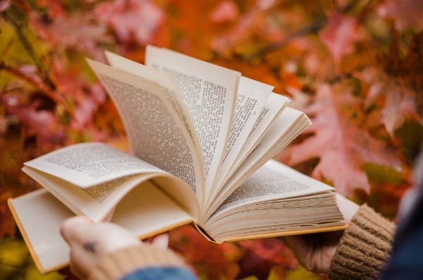 中华不振的意思和反义词