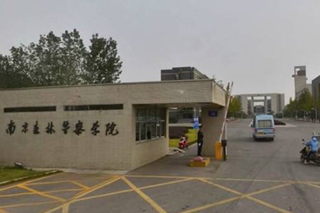 南京森林公安2022录取分数线
