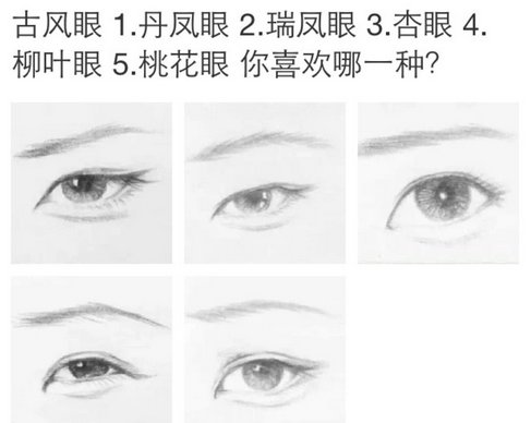 凤眸长什么样子，桃花眼呢？丹凤眼呢？杏眼呢？还有什么眼？长什么样？请给张图片谢谢●ｖ●