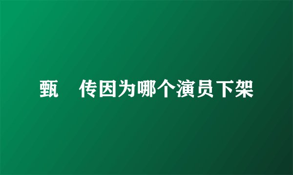 甄嬛传因为哪个演员下架