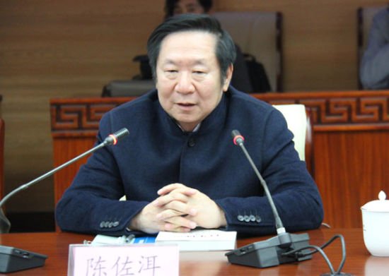 陈佐洱的人物履历