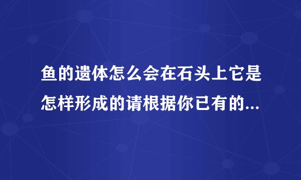 鱼的遗体怎么会在石头上它是怎样形成的请根据你已有的知识进行推理？