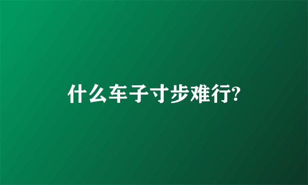 什么车子寸步难行?