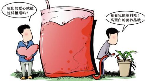 血浆浇花的介绍