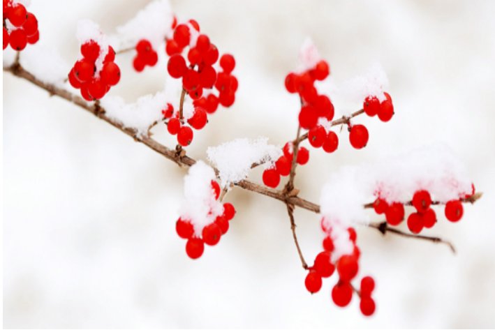 下雪了瑞雪兆丰年的好词好句