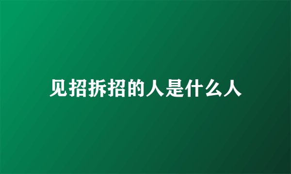 见招拆招的人是什么人