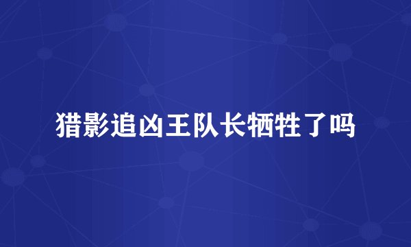 猎影追凶王队长牺牲了吗