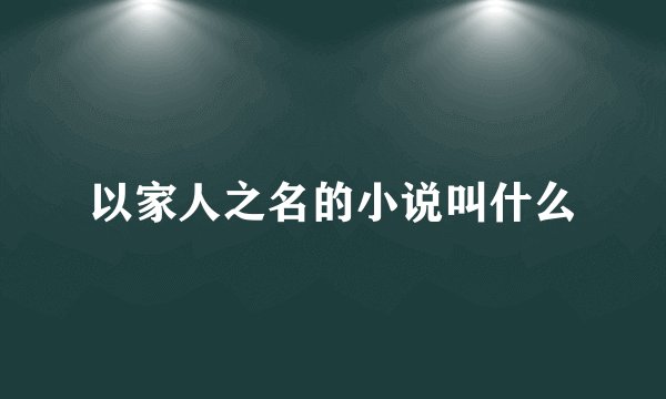 以家人之名的小说叫什么