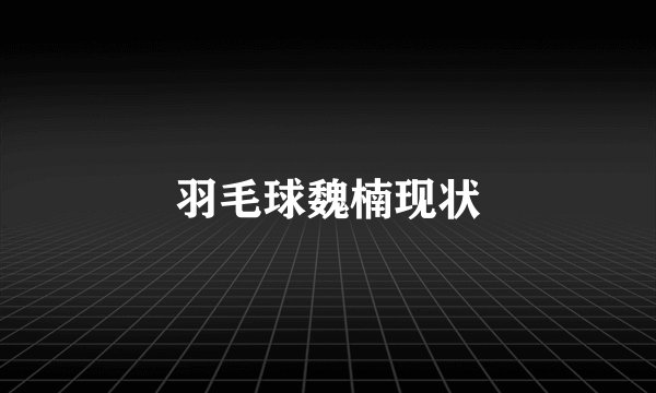 羽毛球魏楠现状