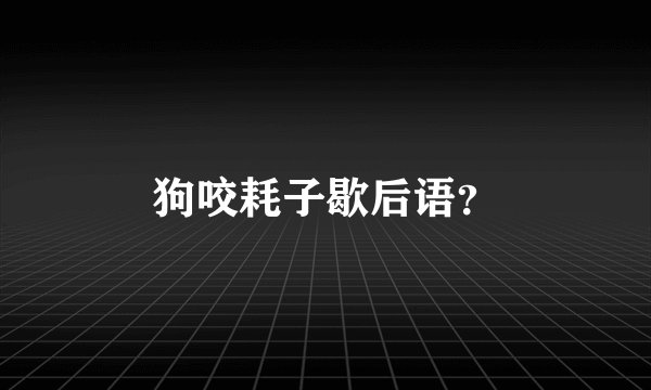 狗咬耗子歇后语？