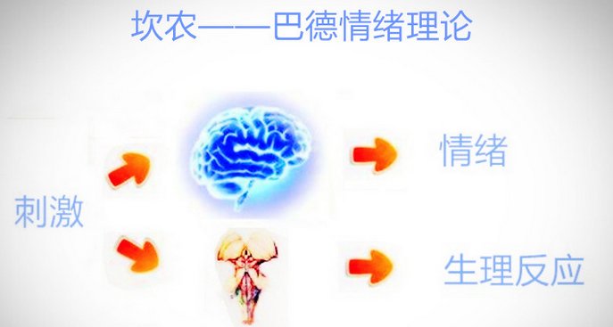 哪些事情必须现在做哪些事情可以将来去做嗯,哪些。事情需要一生去做不少于100