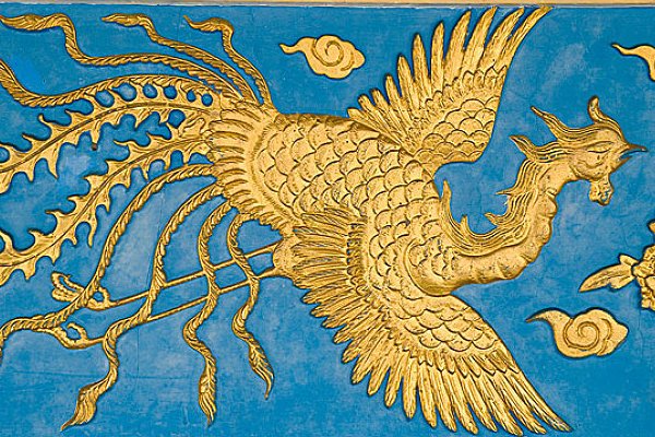 世界上真有凤凰吗？