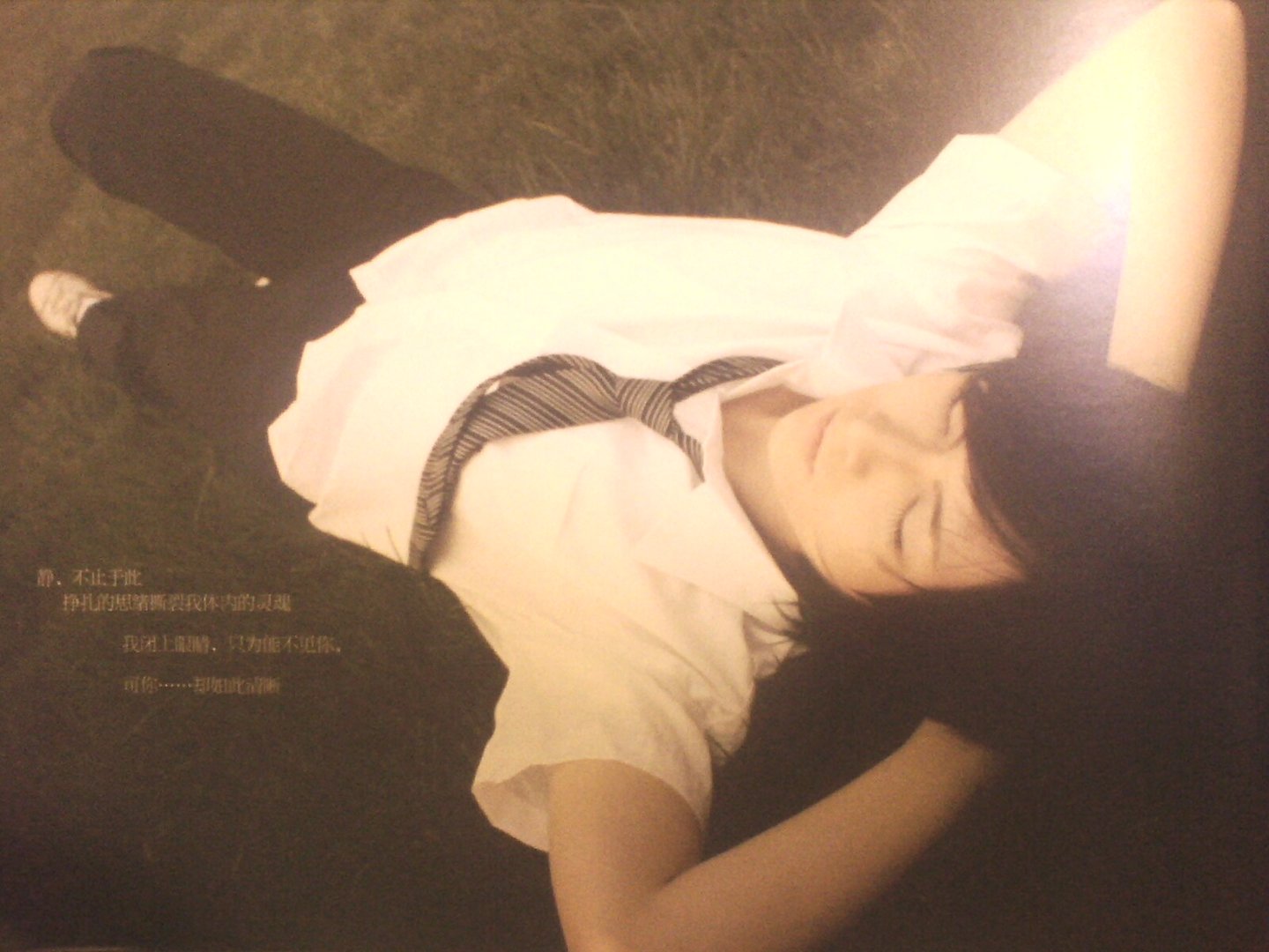 白社会的白社会