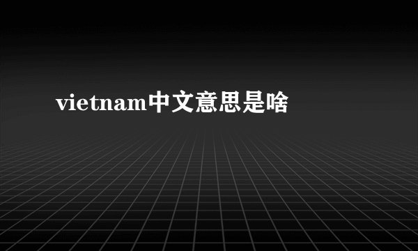 vietnam中文意思是啥