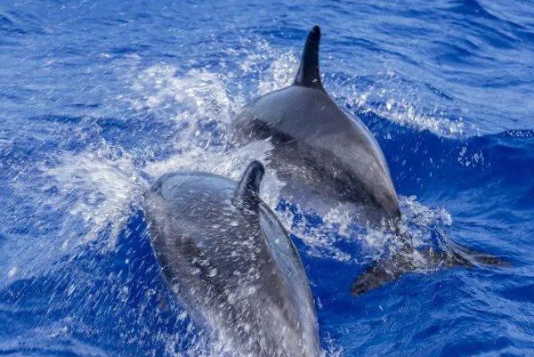 依据联合国海洋法公约中国主张应该拥有的管辖海洋面积约多少万平方公里我们称