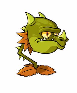 火龙草的小秘密