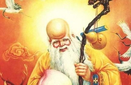 为什么寿星的头那么大？