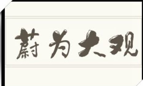 蔚为大观的意思