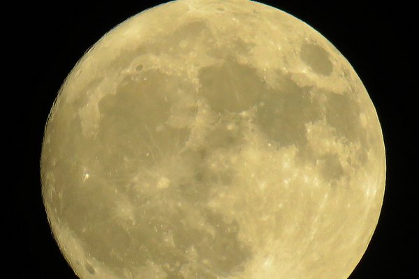 cad怎么画实心圆