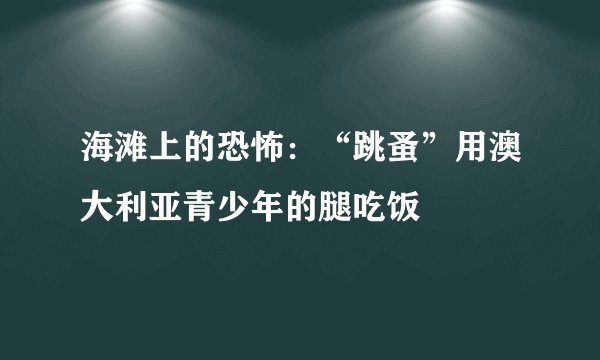 海滩上的恐怖：“跳蚤”用澳大利亚青少年的腿吃饭