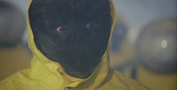 美国电影讲一群人去旅游遇到好多老鼠,最后是两个鼠头人身得人把老鼠消灭得