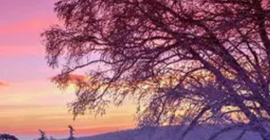 “须晴日，看红装素裹，分外妖娆。