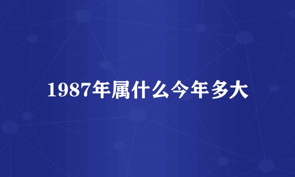 1987年属什么今年多大