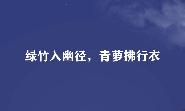 绿竹入幽径，青萝拂行衣