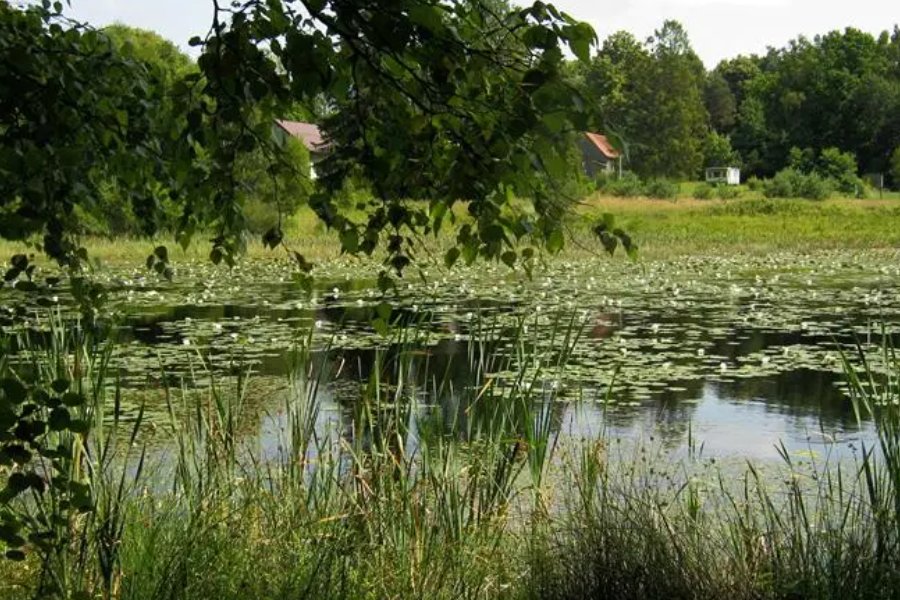 塘组词和拼音和部首