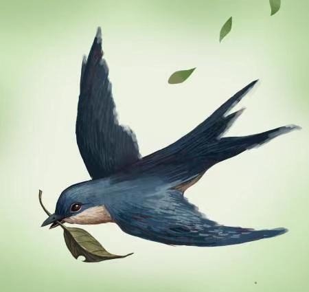 燕子的燕的拼音和组词