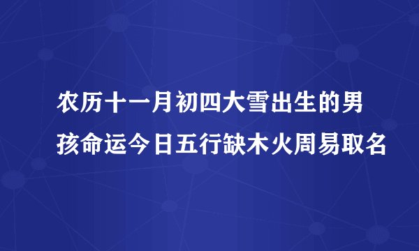 农历十一月初四大雪出生的男孩命运今日五行缺木火周易取名