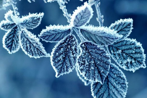 秋阴不散导致霜飞晚的原因